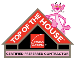 Residential Restorations Insulation pink panther